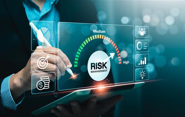 Navigating Financial Risk in IT Projects