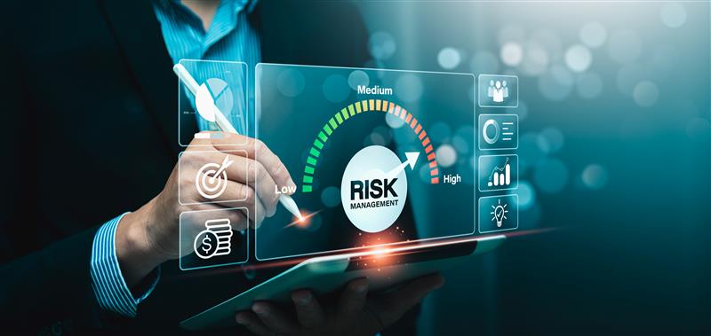 Navigating Financial Risk in IT Projects