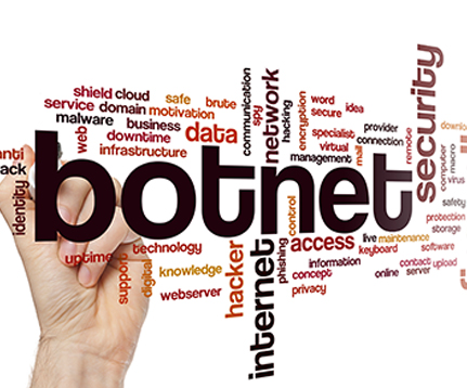 What is Botnet